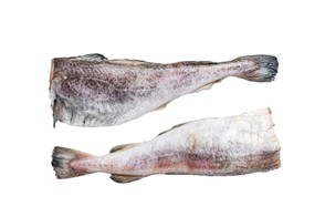 Bacalao